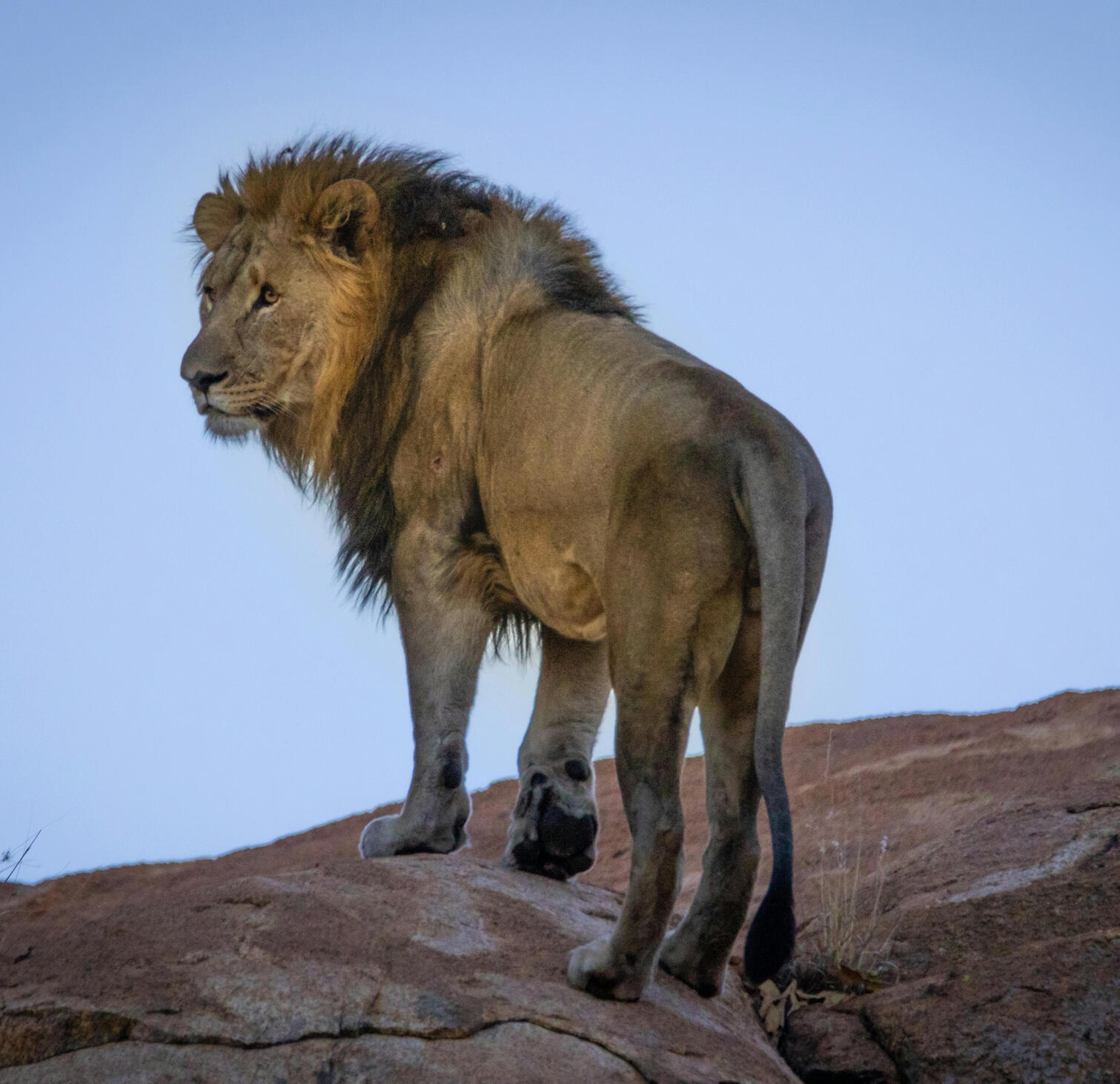 Kruger National Park